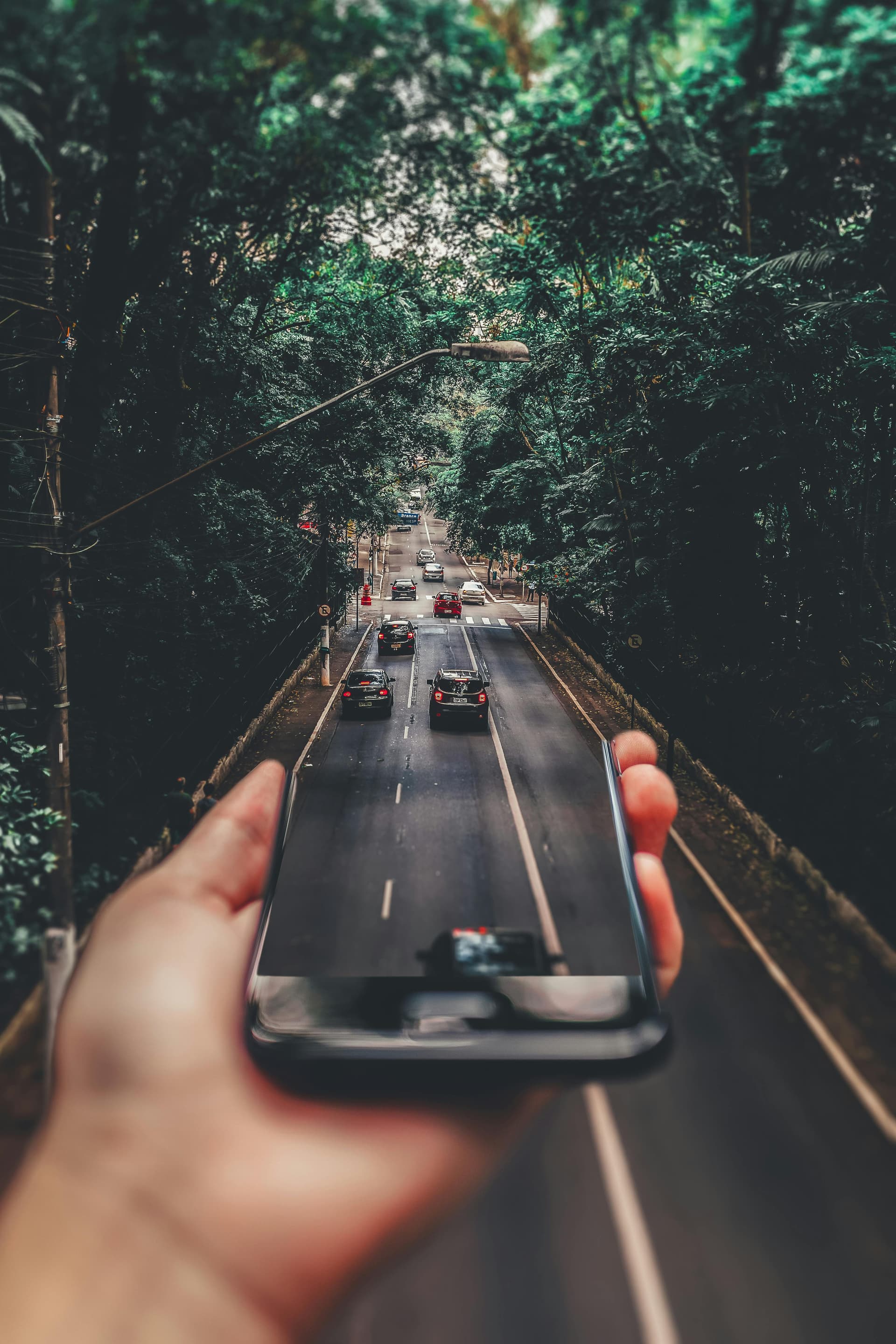 AI transformation strategy bridging technology and sustainable human future - smartphone capturing road through green forest representing the path to AI-powered sustainability